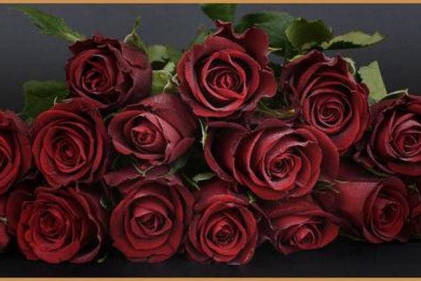 四月十四日是什么节日 4月14日适合开业吗 四月十四日是什么节日 4月14日适合开业吗