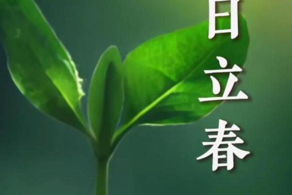 2025年几点立春 2025年立春是几点几分 2025年几点立春 2025年立春是几点几分