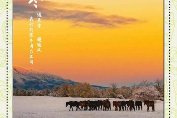 立冬是几月几日2022 立冬节气2022年时间