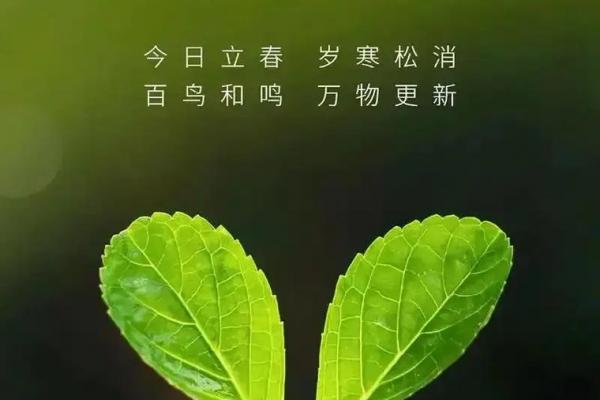 2023立春是几点几分钟立春 今年立春准确时刻查询