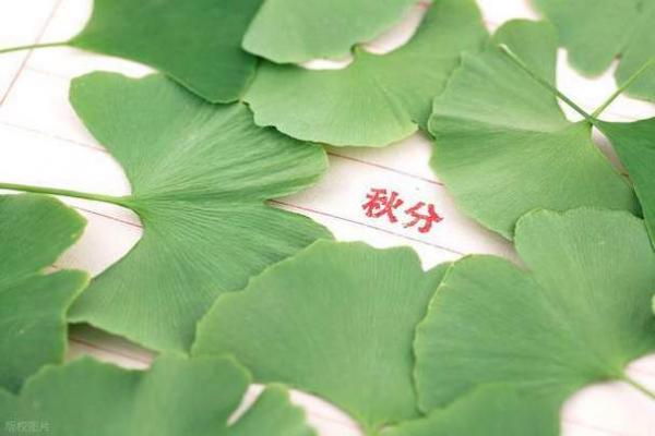 2022年早秋还是晚秋 2022年早秋晚秋天气对比