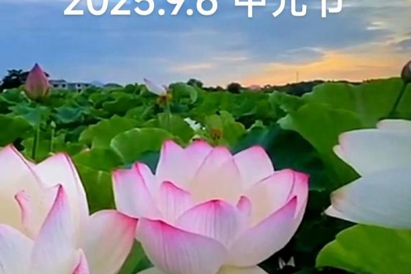 7月15日是什么节日 中元节是哪一天2024 7月15日是什么节日 中元节是哪一天2024