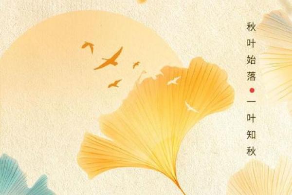 秋分是2023的几月几日 秋分节气2023年时间表 秋分是2023的几月几日 秋分节气2023年时间表