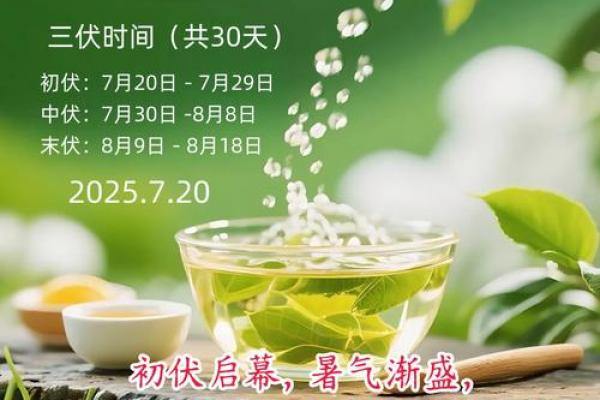 2021三伏天第一天是什么时候 三伏天2021开始日期