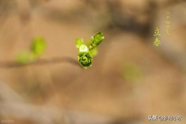 立春能理发吗 立春后第一天适合剪头发吗