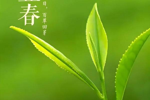 2020年什么时候立春几点几分 2020年立春是几月几号几点