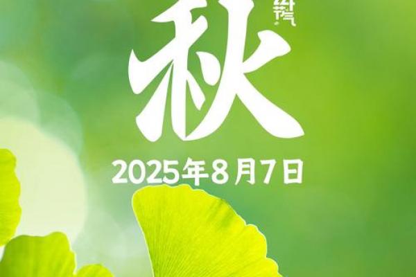 2024年几号立秋 立秋节气是哪天2024