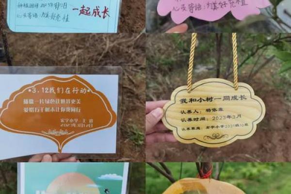 2021植树节是几月几日 植树节是几月几号2021 2021植树节是几月几日 植树节是几月几号2021