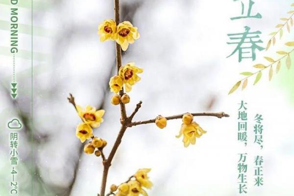 二零二四年几点立春 2024年立春是几点几分 二零二四年几点立春 2024年立春是几点几分