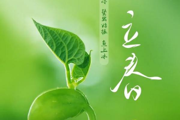 2021年立春怎么躲春 躲春禁忌与注意事项 2021年立春怎么躲春 躲春禁忌与注意事项