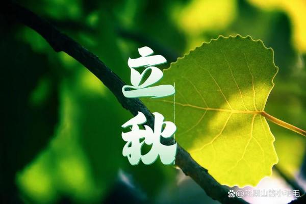 2019年立秋是几时 2019年立秋是哪一天 2019年立秋是几时 2019年立秋是哪一天