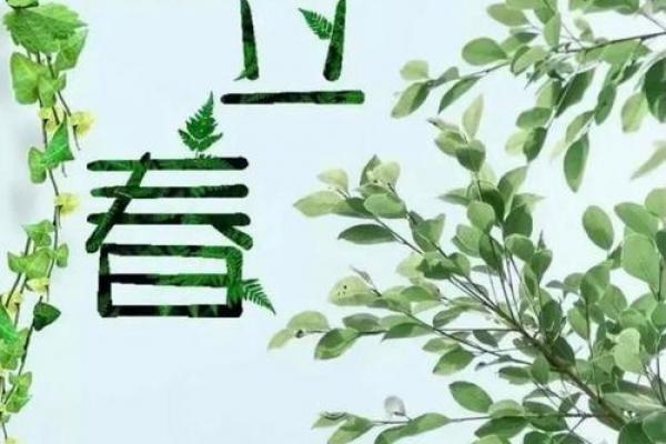 2020年2月4号几点几分立春 2020年立春是几点几分