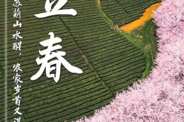 2022年立春几点 2022年立春是几点几分