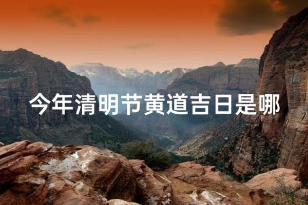 今年清明节是几月几号 2024年清明扫墓吉日 今年清明节是几月几号 2024年清明扫墓吉日