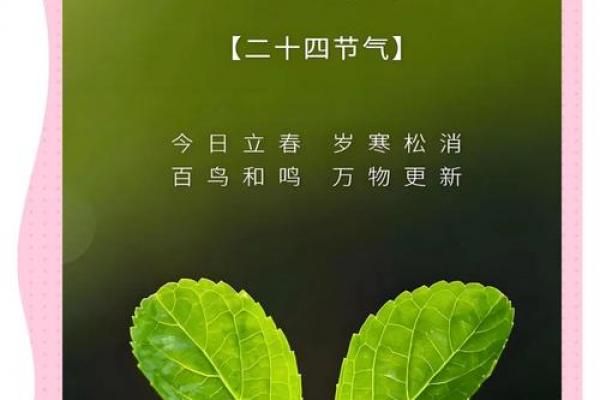 立春时间2023年几点几分 2023年几点打春