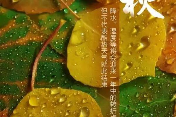 2021年立秋是几点几分几秒 立秋节气2021年精确时刻