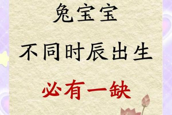 属马的2023年生兔宝宝好吗 属马父母生兔宝宝相冲吗 属马的2023年生兔宝宝好吗 属马父母生兔宝宝相冲吗