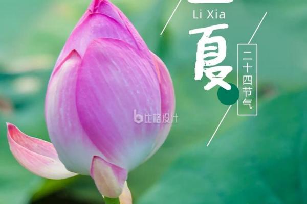 今年立夏是几月几日 2024年立夏是哪一天