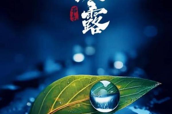 寒露是几月几号 寒露是哪一天农历