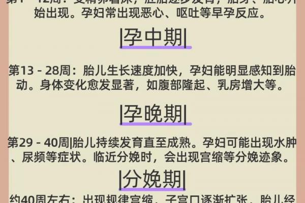 2021年几月份生男孩几率大 备孕男孩最佳月份2021