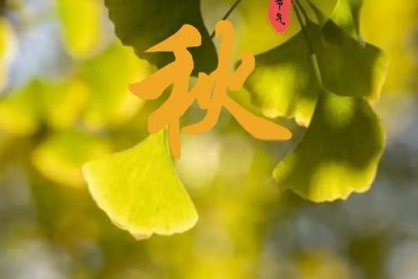 今年立秋是8月7号几点 8月7号立秋几点几分开始