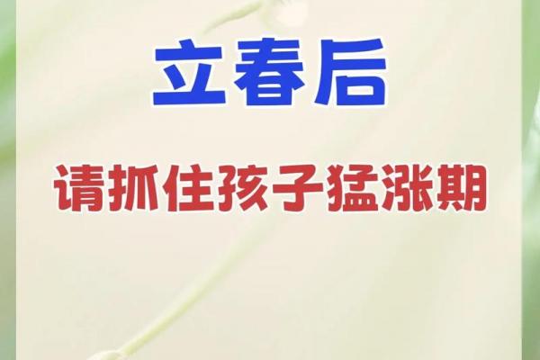 立春前后生孩子有什么不好吗 立春生孩子需要看八字吗