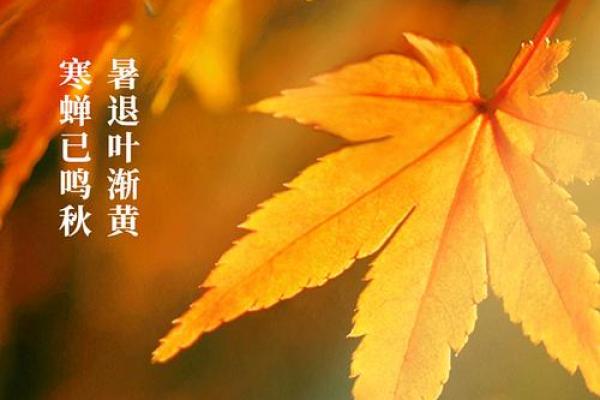 2022年立秋时间几点几分几秒钟 今年立秋是几点几分开始