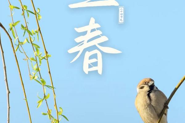 2021几点立春具体时间 2021立春是几点几分开始 2021几点立春具体时间 2021立春是几点几分开始