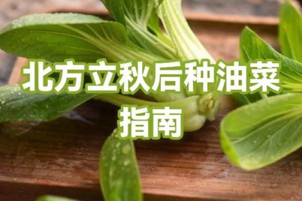 北方立秋吃什么 北方立秋节气食谱大全 北方立秋吃什么 北方立秋节气食谱大全