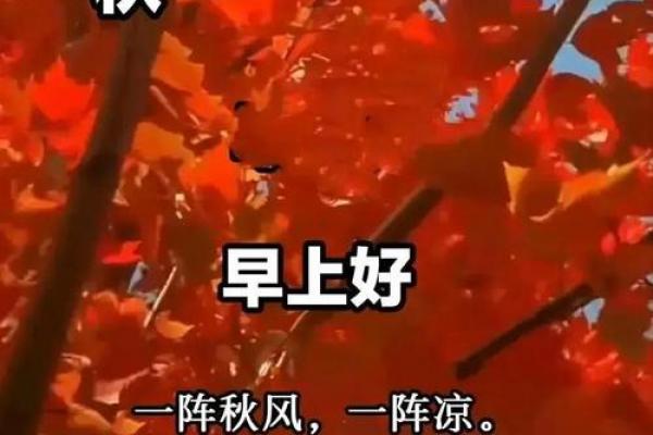 2023立秋时间几点几分 今年立秋是几点几分开始