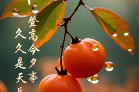 2020老人节是农历几月几日 老人节农历九月初九是哪天