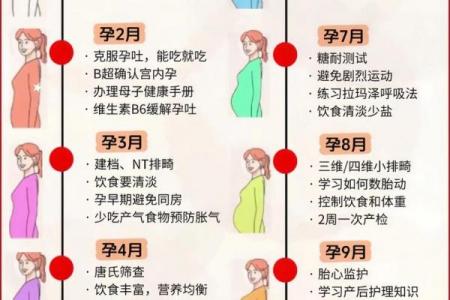 2026年10月生孩子最佳时间表最新指南来了