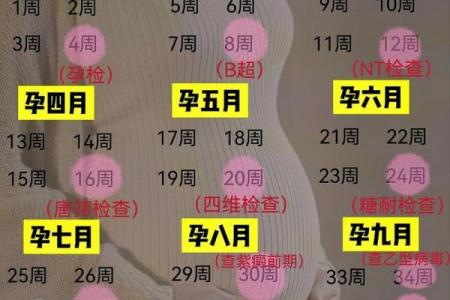 2026年6月剖腹产最佳时间表，准爸妈必看
