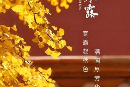 寒露是几月几日2024年 寒露节气2024年时间表