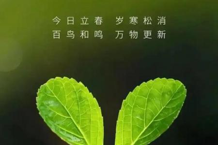 2023立春是几点几分钟立春 今年立春准确时刻查询