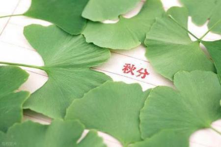 2022年早秋还是晚秋 2022年早秋晚秋天气对比