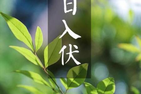 2021三伏天第一天是什么时候 三伏天2021开始日期