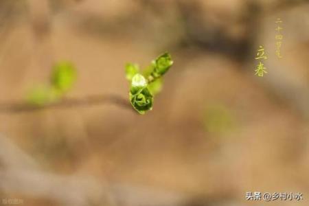 立春能理发吗 立春后第一天适合剪头发吗