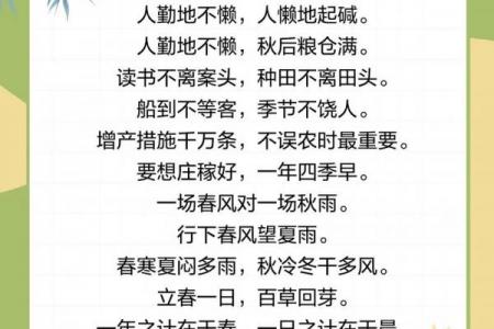 2024年立春是什么时候几点几分 2024年立春几点几分打春