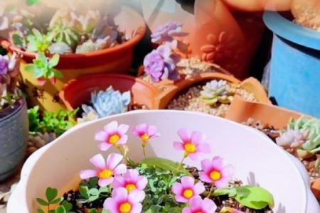 立春可以洗澡吗 立春当天沐浴注意事项