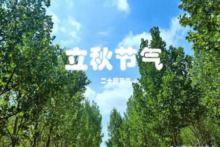 立秋是几月几日,2016年立秋是什么时候 2016年立秋准确时间