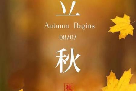 2023年立秋准确时间几点几分 今年立秋是几点几分开始