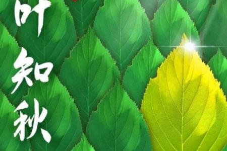 今年8月7号几点立秋 8月7号立秋是几点几分