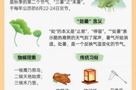 2017年小暑是几月几日星期几 2017年小暑节气星期几