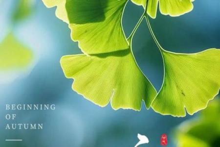 晚上立秋凉快还是早上立秋凉快 立秋节气早晚天气穿衣指南