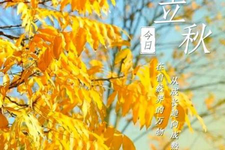 8月8日立秋算早还是晚 今年立秋早还是晚2024