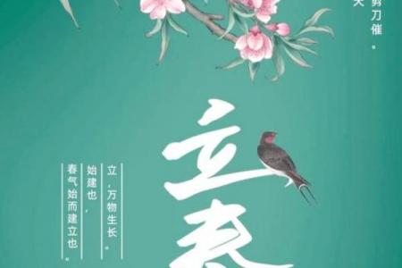 2024年立春准确时间表 2024年立春具体时间查询