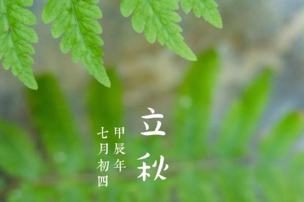 2022立秋是几月几日 立秋节气是哪一天2022