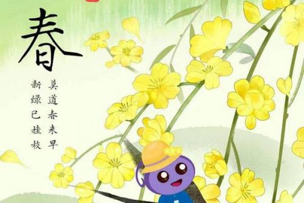 今日立春几时几分立春 2024年立春是几点几分