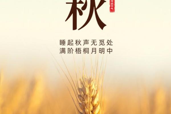 今年立秋具体的时间是几点几分2023 立秋具体时间2023年查询 今年立秋具体的时间是几点几分2023 立秋具体时间2023年查询